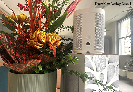 Sonosbox Bild einer Sonosbox neben einem Herbstblumenstrauß