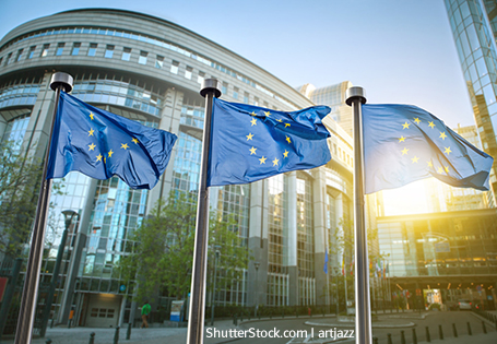 Das Europäische Parlament bietet eine spannende virtuelle Führung durch seine Standorte in Brüssel und Straßburg.