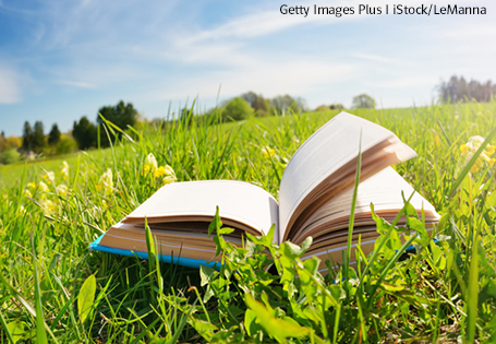 Sommerzeit ist Lesezeit – unsere besten Sachbuchtipps
