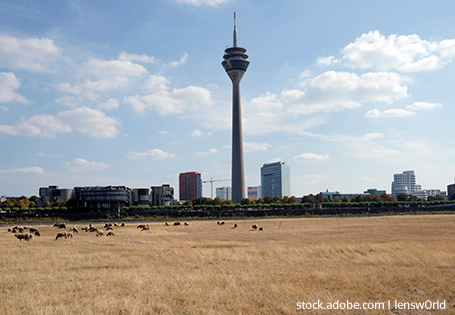Dürre in Düsseldorf