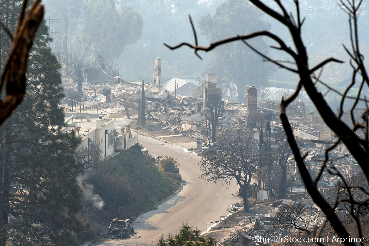 Blick auf eine Straße in den Hollywood Hills, an der rechts und links ausgebrannte Villen zu sehen sind als Folge der verheerenden Waldbrände Anfang 2025, im Vordergrund sind Äste von verbrannten Bäumen zu sehen
