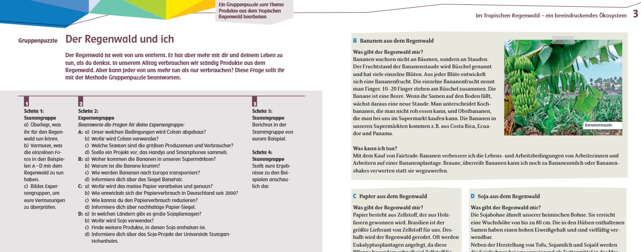 Screenshot_105306_Gruppenpuzzle Sprachbildung im Fach: Schwerpunkt Methodentraining im Geographieunterricht