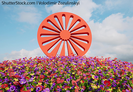 Rotes Chakra (Speichenrad) vor blauem Himmel auf bunter Blumenwiese in Anlehnung an die Roma-Flagge