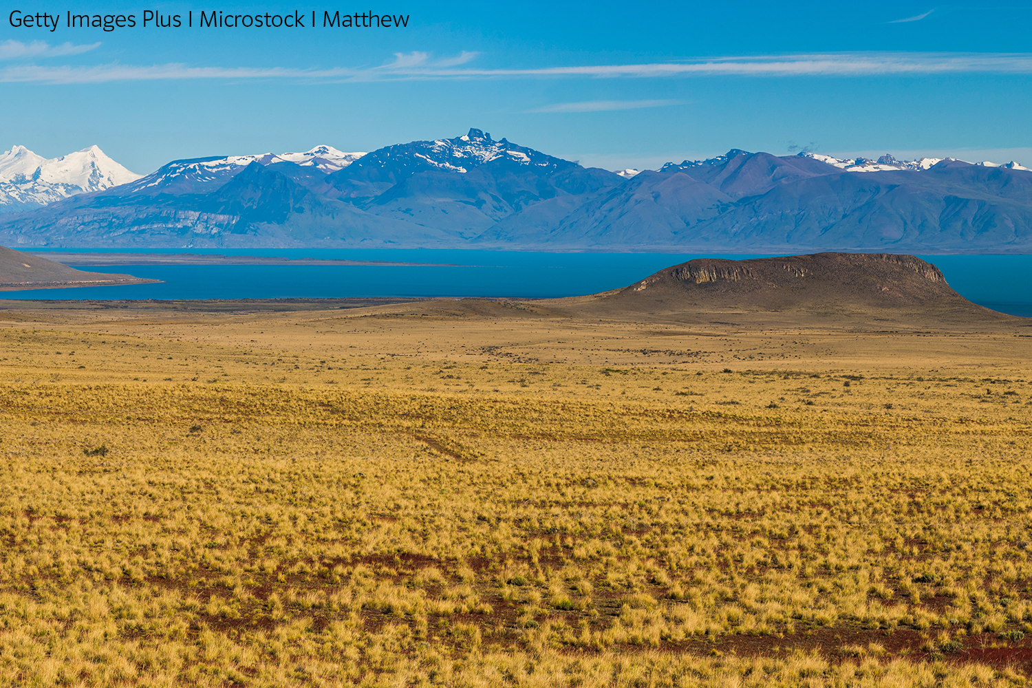 Steppe in Patagonien mit kleinen Sträuchern und Grasbüscheln. Im Hintergrund liegt ein See, hinter dem ein Gebirge mit teilweise schneebedeckten Gipfeln aufragt.